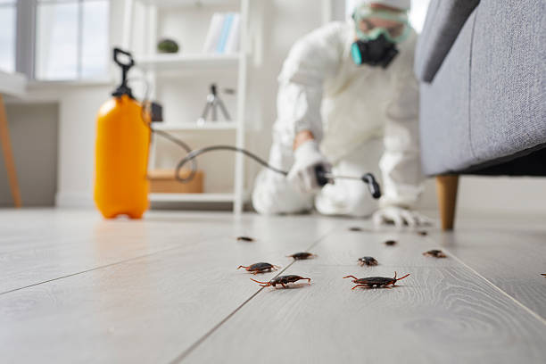Trusted Rodent Control service in Carroll Valley, PA - Nex Pest Control